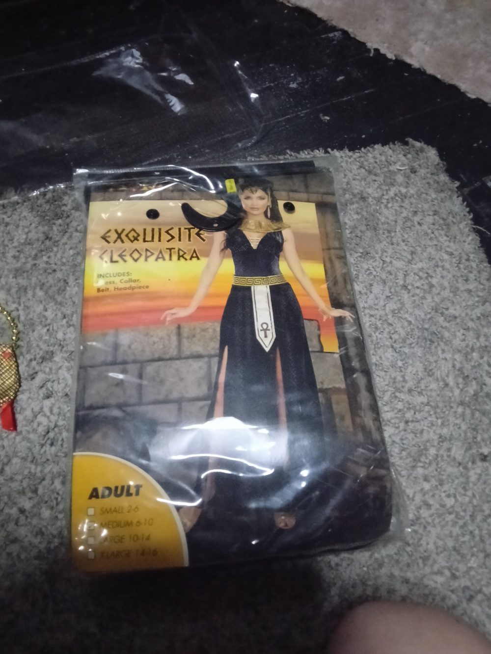 Women's Black and Gold Egyptian-Inspired Costume